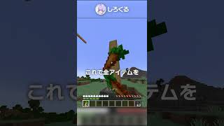 【1.20】バグだったの？！まさかの修正2選！【マイクラ豆知識 解説 裏技】