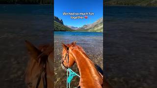 This is all I have left 🥺 #horse #equestrian #horsejumping #horseriding #horsegirl #camera #pov