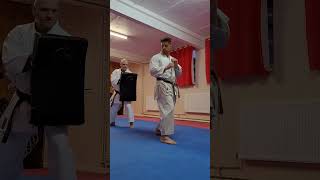 Ushiro Geri (Back kick) #karate #shotokan #kicks #martialarts #karatedo #training #tips #kumite