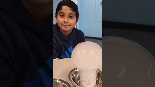 STEMTREE Education: Shaping Tomorrow’s Scientists Today!