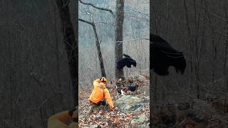 This bear wasn’t playing nicely!