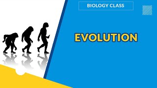 EVOLUTION | HOW WAS MAN CREATED? |  BIOLOGY