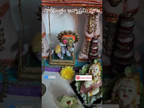 సాయంత్రం జన్మాష్టమి పూజ | Evening Janmashtami Pooja | Janmashtami | #సాయంత్రం జన్మాష్టమి పూజ #pooja
