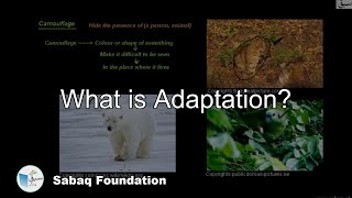 What is Adaptation?, General Science Lecture | Sabaq.pk