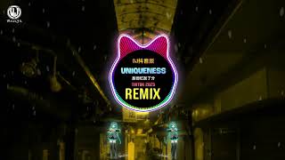 Uniqueness (Phonk Remix Tiktok 2025) 是回忆加了分 (DJ抖音版)