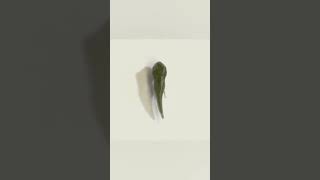 Cartoon Animation | #shorts #animationhacks #animation #tasktime #3d#2d #ChineseCartoon#Funny