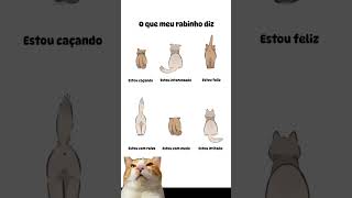 NOSSA LINGUAGEM 🗣️ você já reparou nisso humano?  | #gatos #gato #pets #gatosendogato #gateiras