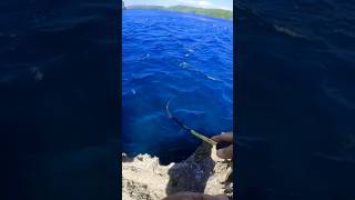 Barracuda STRIKE on ULTRALIGHT 🎣🐟 #youtubeshorts #mancing #fishing #travel #adventure