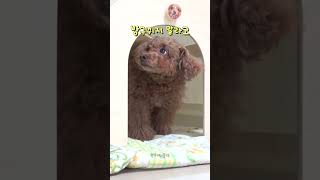 방구좀 뀌지 말라고!