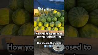 Smith County Watermelon for the WIN