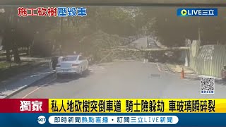#三立獨家 "好哩嘎在"就差20秒躲過一劫...私人地砍樹疑防護繩索為綁牢 大樹往車道應聲而倒砸車釀玻璃破裂 騎士僅20秒之差無礙｜記者 李建瑩 曹勝彰｜【LIVE大現場】20230506｜三立新聞台