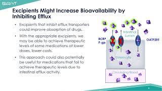 DDI Potential of Major Pharmaceutical Excipients on Transporters and Enzymes