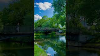 Peaceful Nature Walk – Birds, River, and a Touch of the Unknown #neusiedlersee #nature #animals