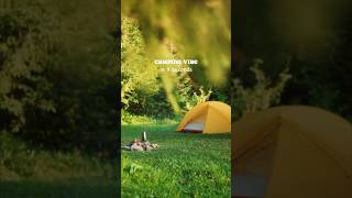 Camping vibe in 9 seconds #wildlife #campinglife #naturelovers #tentlife #beautifuldestinations