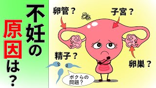 2 不妊の原因は？まずは一通り検査しましょう。ver.2