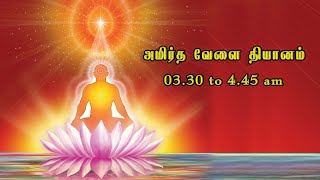 26.07.2025 | Amirtha Vela Yoga | LIVE Meditation | அமிர்தவேளை தியானம்....