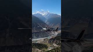 palne AI #aviation #automobile #crash #landing #aiworld #aiart #shortsfeed #animation