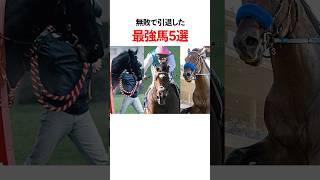Top 5 horses who retired undefeated