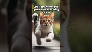 One Cat Teaches Us Tips for Living #kittywisdom #catlovers