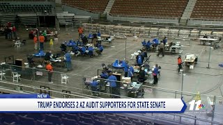TRUMP ENDORSES TWO AZ AUDIT SUPPORTERS FOR SENATE