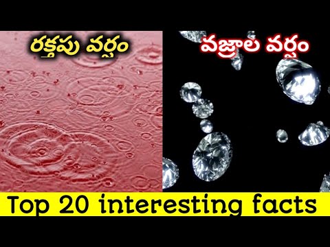 20 interesting Facts In Telugu | facts in telugu interesting | 20 Telugu Facts new | unknown facts