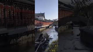 #带你看风景 #旅行推荐官 #丽江古城 #打卡风铃街