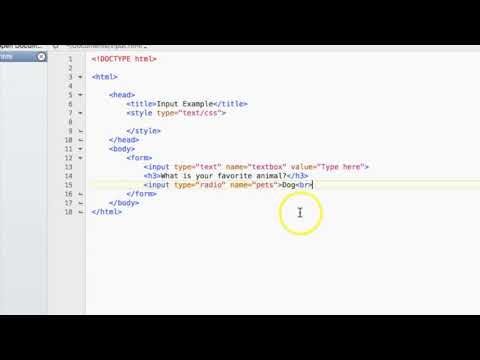 Allow User Input with HTML