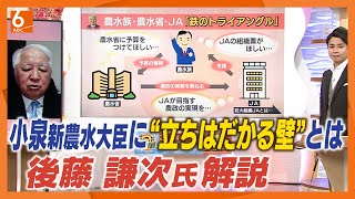 [The wall standing in the way of the new Minister Koizumi] Is the "iron triangle" to blame for ri...