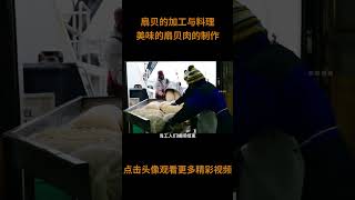 揭秘工厂给扇贝加工的全过程，扇贝肉是如何进行处理的呢？#扇贝肉 #海产品 #制作过程 #造物工厂 #科普