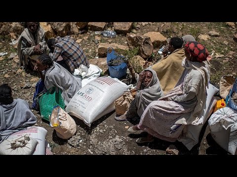World Food Programme to halt aid for 650,000 women and children in Ethiopia