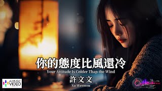【高清MV】許文文 - 你的態度比風還冷【Pinyin + Eng Sub | AI音樂視頻 | 繁體拼音英文動態字幕】 Xu Wenwen 【许文文  -  你的态度比风还冷】