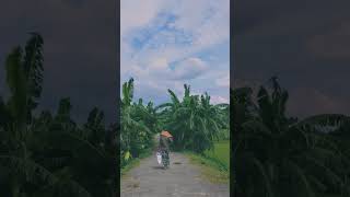 ফেঁসে যায়  #chorki #toofan #habibwahid #habib #shakibkhan #fesheyjaai #hasibofficial #shorts