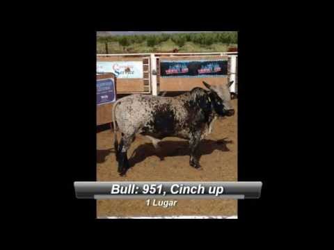 Futurity Expogan 2014