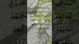 #alquran #allahuakbar #allah #share #shortsviral #shorts #subscribe #subscribenow #subscribers