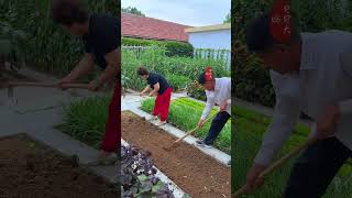 把菜园打理成花园能欣赏能品尝美食#蔬菜的搬运工 #种菜 #小菜园