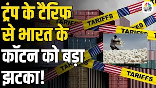 US Tariff on Indian Cotton: 25% टैरिफ बम से लुढ़केगा भारत का कॉटन एक्सपोर्ट? देखिए आंकड़े और असर