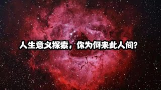 曜·塔羅‖人生意義探索，你為何來此人間？