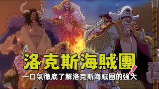 一口氣徹底了解洛克斯海賊團的強大！曾經讓世界政府顫抖的名字，13位洛克斯船員！