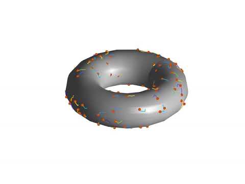 Torus: persistent random walk
