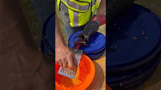 Cooking Breakfast on the Jobsite