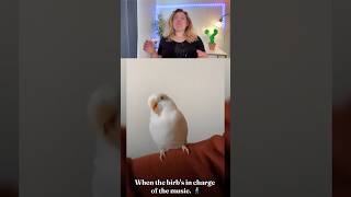 Can You Watch This Without Laughing? 😂