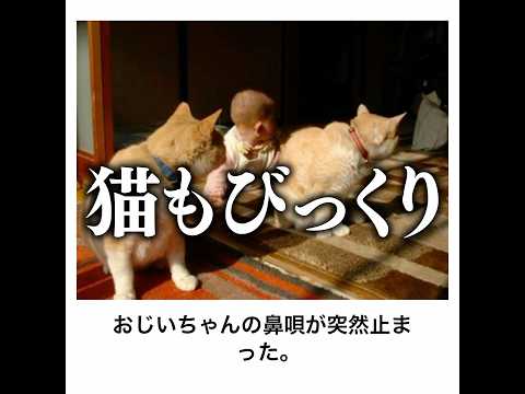 【黒板消しパンパン￼】殿堂入りボケてがマジでツッコミどころ満載だったwww【1544弾】