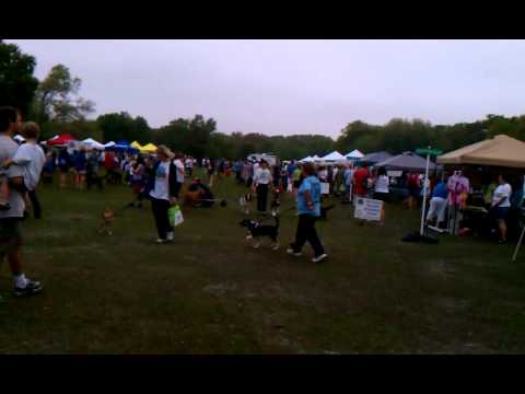 Bark in the park