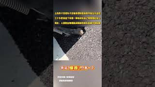 上海男子發現車子被弄倒特意放假開始全天監控 三十多度高溫下等到一輛電動車自己慢慢倒在地上 網友：人類敗給物理瞬間精神共振我看都不敢眨眼