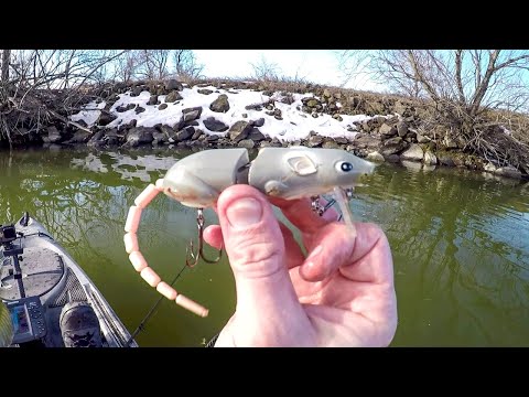 Winter Fishing For... Topwater Bass?