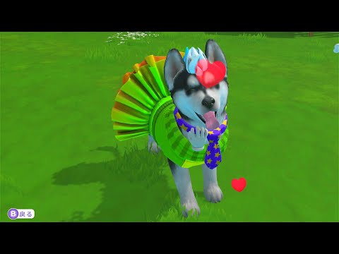 クジャクみたいな服しやがって...可愛いなぁ。 LITTLE FRIENDS ~PUPPY ISLAND~ Part-01