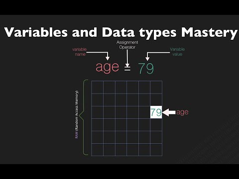 Understanding Variables and Data Types in Python