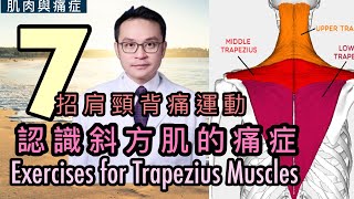 肩頸膊頭痛: 可能是斜方肌出現問題！如何處理？介紹七招斜方肌運動 [Eng Subtitles] 7 Exercises for the Trapezius muscles