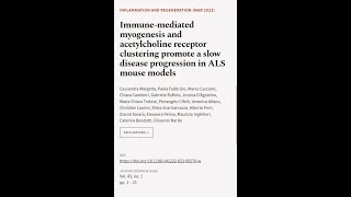 Immune-mediated myogenesis and acetylcholine receptor clustering promote a slow disea... | RTCL.TV