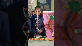 #saraswatiseniorsecondaryschool#shorts #school  #bestschoolinharyana #bestschoolinsonipat